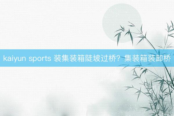 kaiyun sports 装集装箱陡坡过桥？集装箱装卸桥