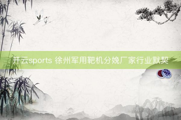 开云sports 徐州军用靶机分娩厂家行业默契